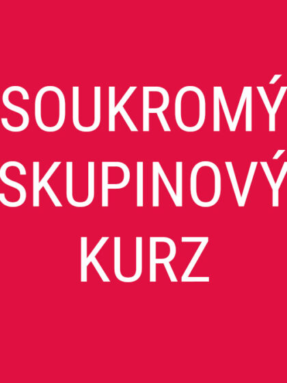 Soukromý skupinový kurz | Dospělí i děti