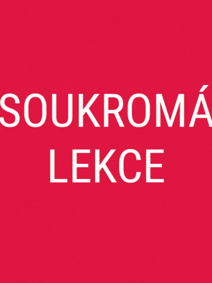 Soukromá výtvarná lekce