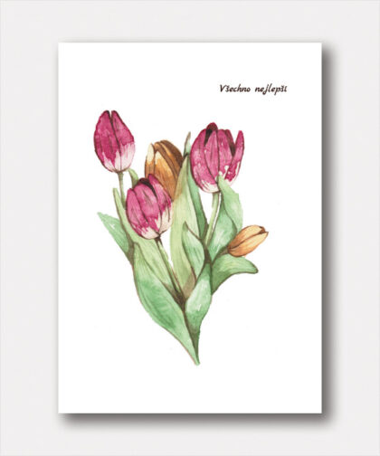 Blahopřání A6 Tulipány