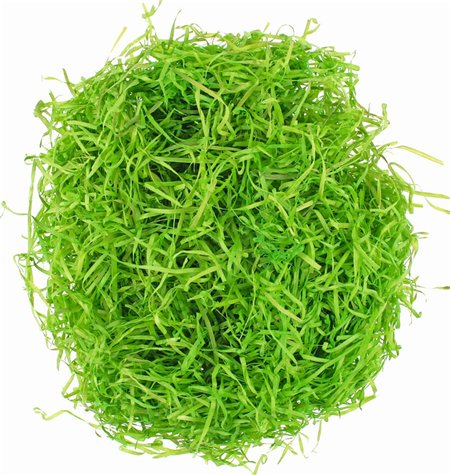 Dekorační dřevěná tráva 50g - zelená